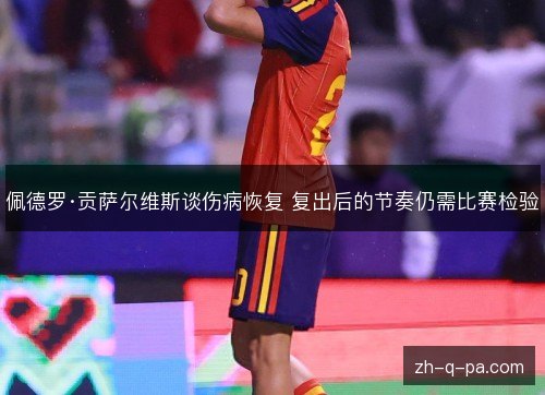 佩德罗·贡萨尔维斯谈伤病恢复 复出后的节奏仍需比赛检验 佩德罗·贡萨尔维斯谈伤病恢复 复出后的节奏仍需比赛检验